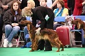 Crufts2011 263